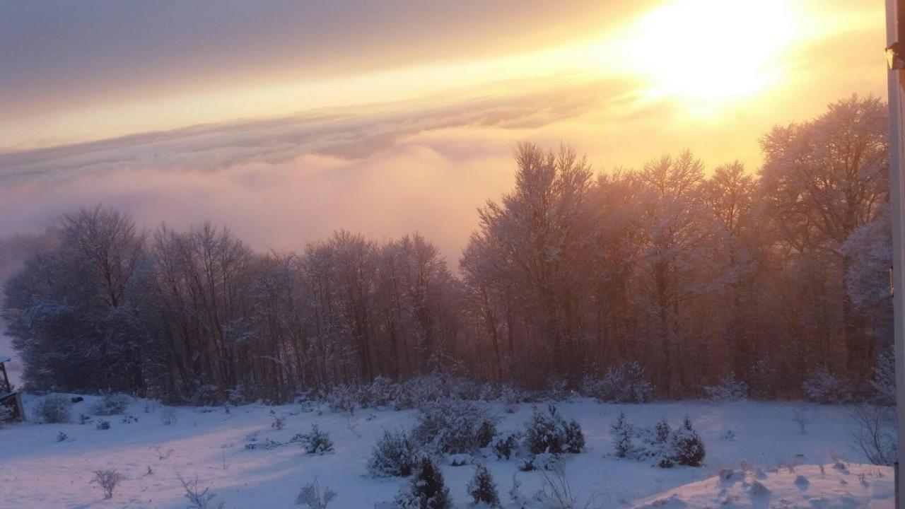 Goma Kop Apartmani Kopaonik Buitenkant foto